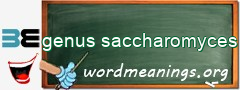 WordMeaning blackboard for genus saccharomyces